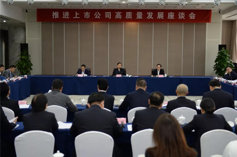 上市公司高质量发展座谈会